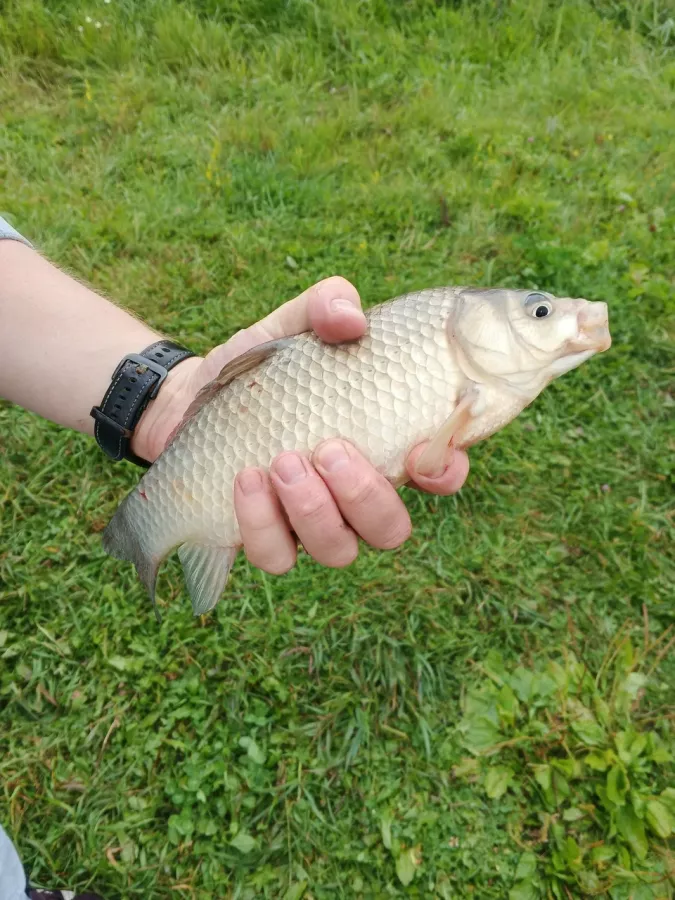 Клёвые озерки. Рыболовный Клуб в Екатеринбурге: Рыбалка,