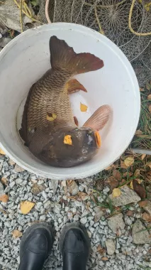 Клёвые озерки. Рыболовный Клуб