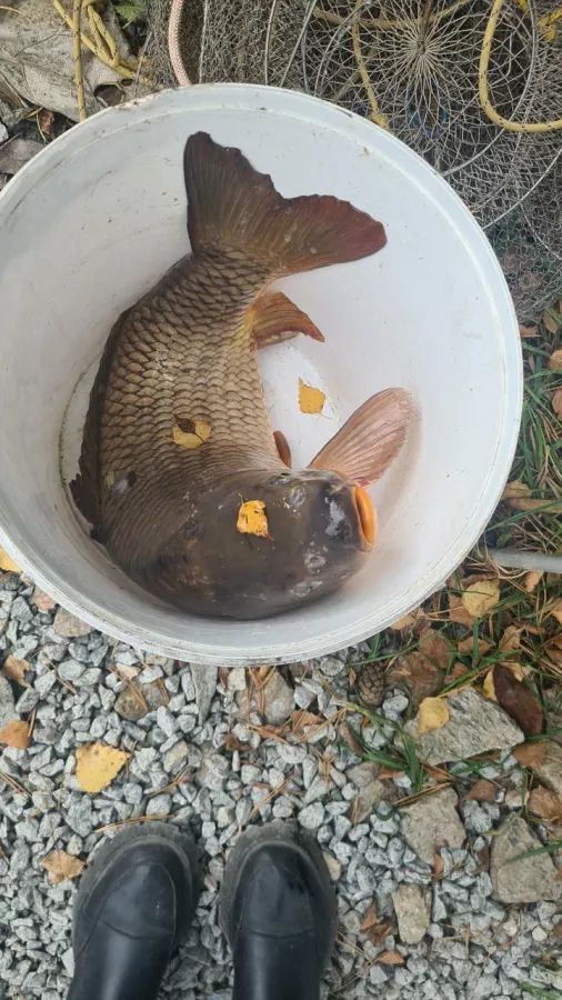 Клёвые озерки. Рыболовный Клуб в Екатеринбурге: Рыбалка,