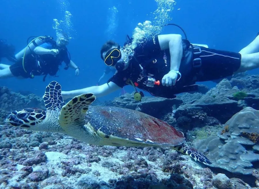 Дайвинг-Центр Phuket Diving Center в Пхукете: Инструкторы, Дайвинг, Фридайвинг, Погружение, Instructors, Diving, Freediving, Swimming, Scuba, Плавание, Акваланг,