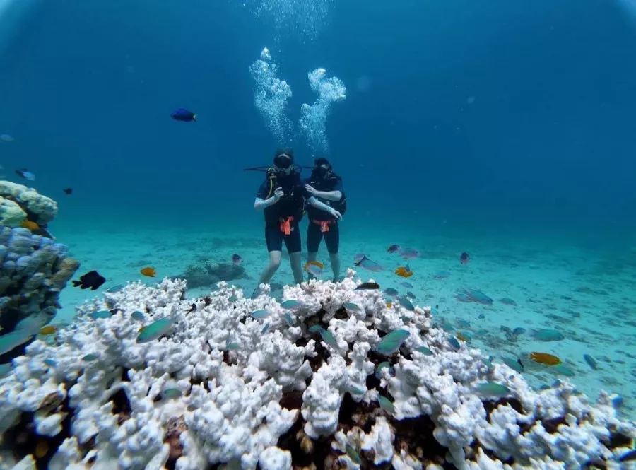 Дайвинг-Центр Phuket Diving Center в Пхукете: Инструкторы, Дайвинг, Фридайвинг, Погружение, Instructors, Diving, Freediving, Swimming, Scuba, Плавание, Акваланг,