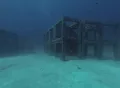 Миниатюра 7