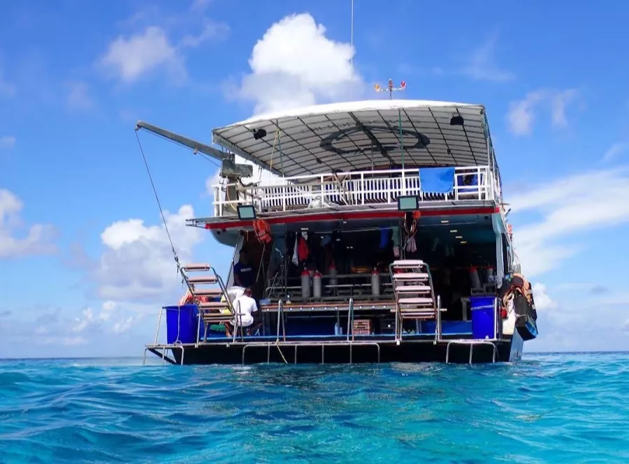Дайвинг-Центр Scubadeep Phuket в Пхукете: Diving, Freediving, Погружение, Instructors, Scuba, Swimming, Плавание, Инструкторы, Дайвинг, Фридайвинг, Акваланг,