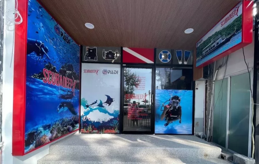 Дайвинг-Центр Scubadeep Phuket в Пхукете: Diving, Freediving, Погружение, Instructors, Scuba, Swimming, Плавание, Инструкторы, Дайвинг, Фридайвинг, Акваланг,
