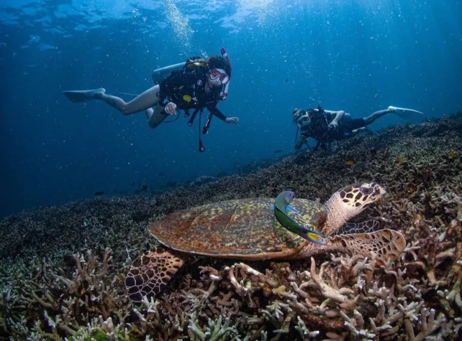 Дайвинг-Центр Scubadeep Phuket в Пхукете: Diving, Freediving, Погружение, Instructors, Scuba, Swimming, Плавание, Инструкторы, Дайвинг, Фридайвинг, Акваланг,