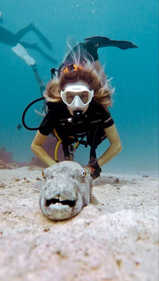 Дайвинг-Центр Credo Diving в Пхукете: Плавание, Акваланг, Дайвинг, Фридайвинг, Погружение, Инструкторы, Swimming, Scuba, Diving, Freediving, Instructors p,
