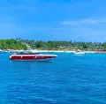 Миниатюра 8