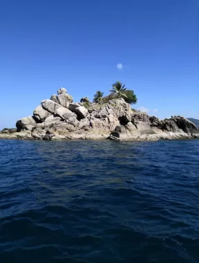 Дайвинг-Центр «Aqua One Dive»
