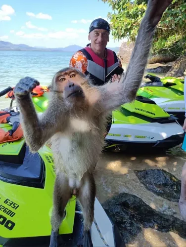 Прокат Гидроциклов Jetski Adventure Phuket в Пхукете