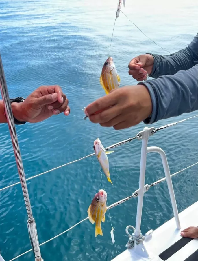 Аренда Яхт Andaman Signature в Пхукете: Аренда, Яхты, Плавание, Лодки, Rental, Yachts, Swimming, Boats, Fishing, Рыбалка,