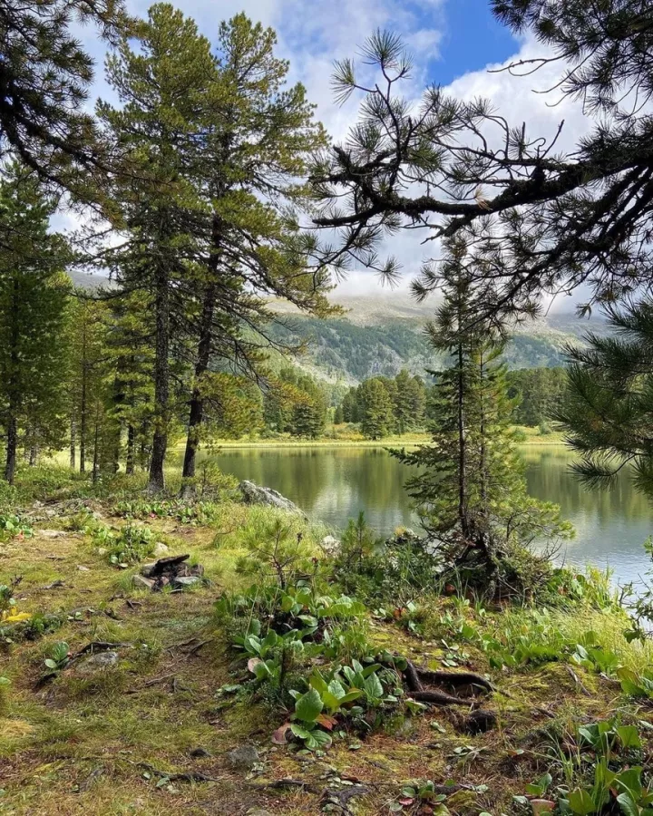 Туристическая компания Жасмин вояж в Казани: Тур, Путешествие, Турагентство, Туризм, Отпуск, Море,