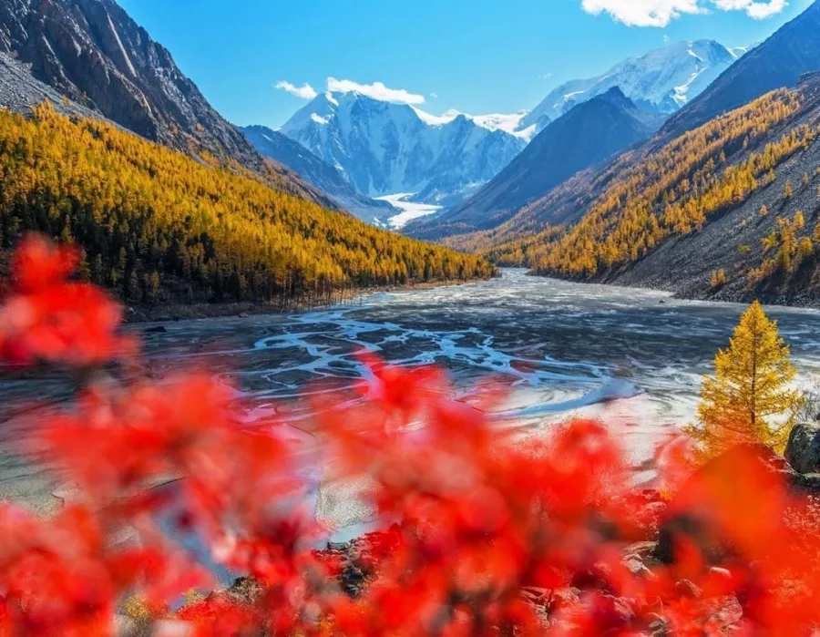 Туристическая компания Жасмин вояж в Казани: Тур, Путешествие, Турагентство, Туризм, Отпуск, Море,