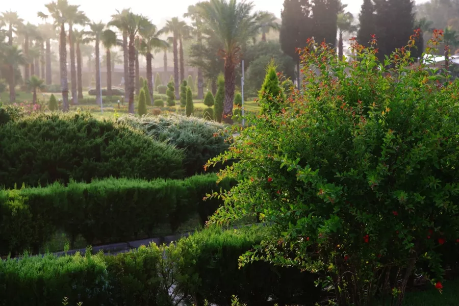 Турагентство Gaile Tours в Казани: Тур, Путешествие, Турагентство, Туризм, Отпуск, Море,