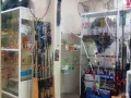 Миниатюра 11