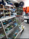 Миниатюра 9