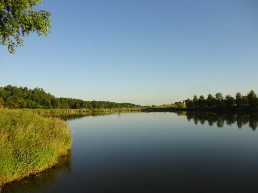 Гуляй-поле. Рыболовный Клуб в Туле: Платная Рыбалка, Рыболовный Клуб, Рыбалка в Туле, Рыбалка на Водоёме, Рыбалка на Карпа, Рыбалка на Толстолобика, Рыбалка на Амура, Рыбалка на Карася, Рыбалка на Щуку, Рыбалка на Природе,