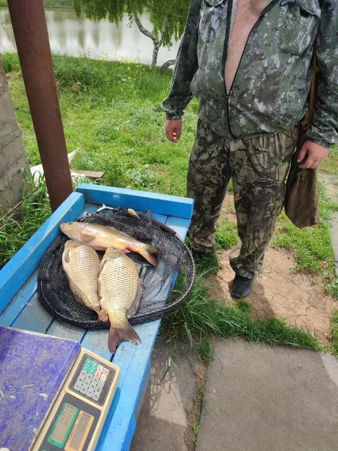 Гуляй-поле. Рыболовный Клуб в Туле: Платная Рыбалка, Рыболовный Клуб, Рыбалка в Туле, Рыбалка на Водоёме, Рыбалка на Карпа, Рыбалка на Толстолобика, Рыбалка на Амура, Рыбалка на Карася, Рыбалка на Щуку, Рыбалка на Природе,