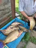 Миниатюра 7