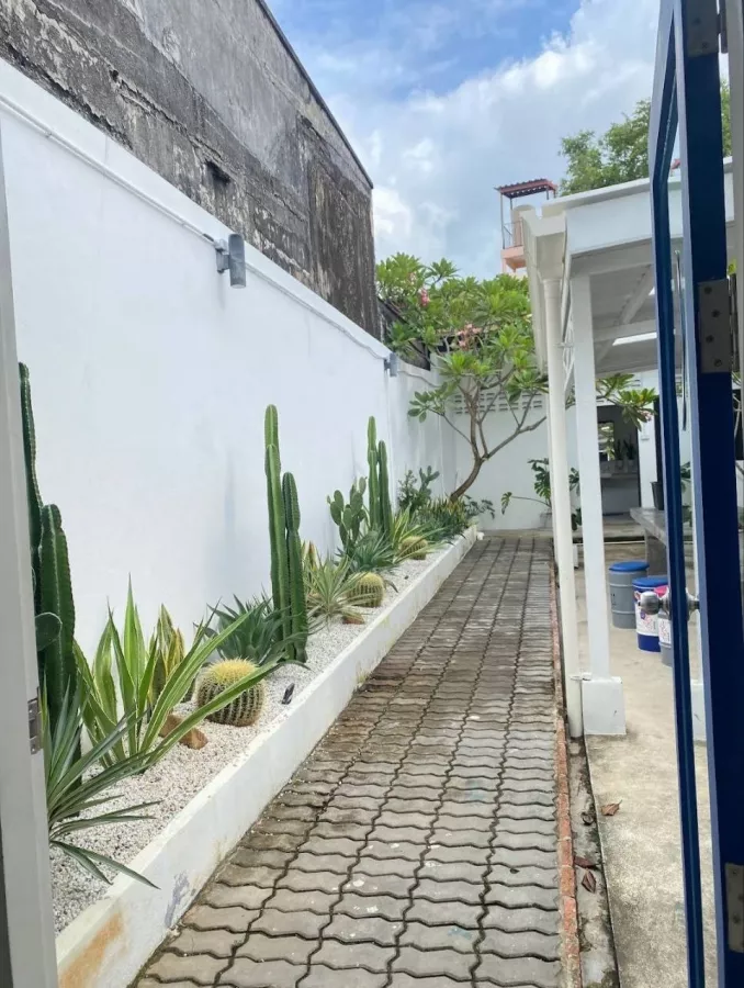 Кофейня Someday Cafe Phuket в Пхукете: Кофе, Кафе, Закуск, Coffee, Cafe, Snacks,