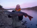Миниатюра 8
