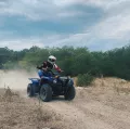 Миниатюра 8