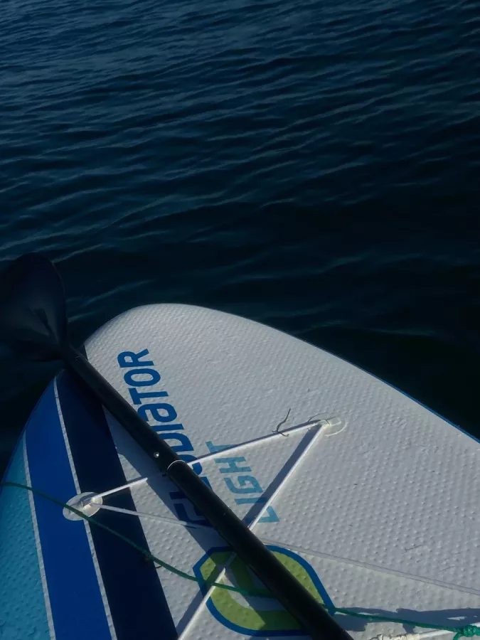 Аренда сапбордов Manta Sup Surfing в Анапе: Прокат сапбордов, Аренда сапбордов, Развиваться, Водные прогулки, Пункт проката, Прокат, Аренда, Спортивный отдых, Чилим, Сапборд , Аренда в Анапе,