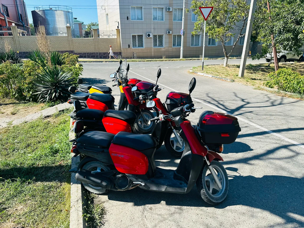 Большое фото 5