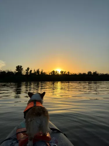 Прокат сапбордов Sup Волга  в  Волжском