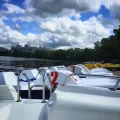 Миниатюра 8