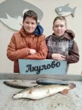 Миниатюра 11