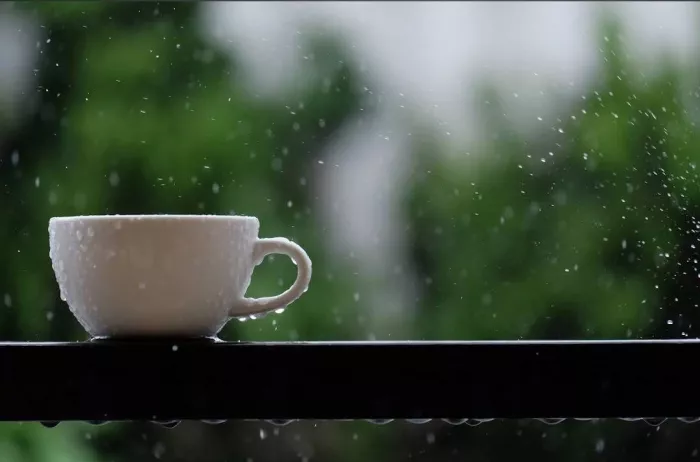 Кофейня Campus Coffee Roasters в Пхукете: Еда, Кофе, Кафе, Десерты, 