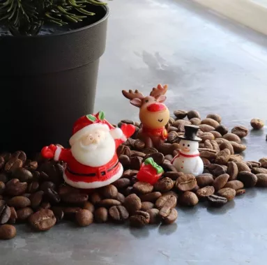 Кофейня «Sixory Coffee»