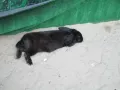 Миниатюра 8