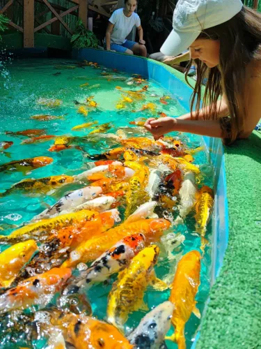 Трогательный зоопарк  в  Ейске