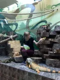 Миниатюра 8