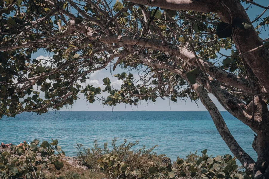 Туристическая компания Mega Travel в Казани: Тур, Путешествие, Турагентство, Туризм, Отпуск, Море,