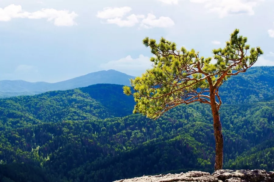 Банк Путешествий в Казани: Тур, Путешествие, Турагентство, Туризм, Отпуск, Море,