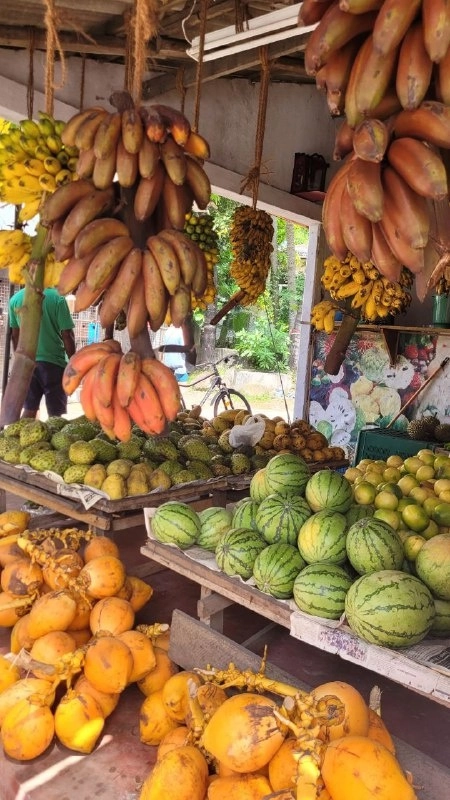 Туристическое агентство Нико Турс в Казани: Тур, Путешествие, Турагентство, Туризм, Отпуск, Море,