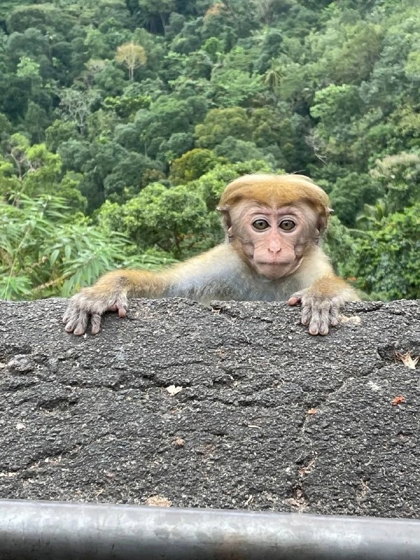 Туристическое агентство Нико Турс в Казани: Тур, Путешествие, Турагентство, Туризм, Отпуск, Море,
