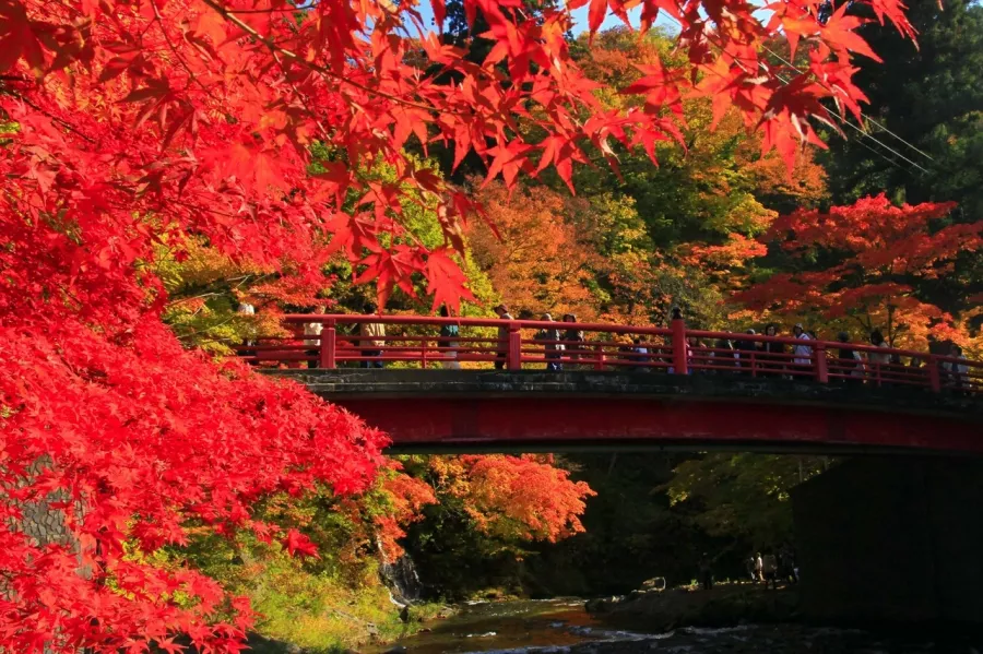 Туристическое агентство Нико Турс в Казани: Тур, Путешествие, Турагентство, Туризм, Отпуск, Море,