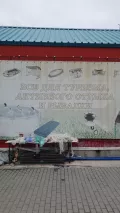 Миниатюра 12