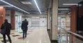 Миниатюра 7