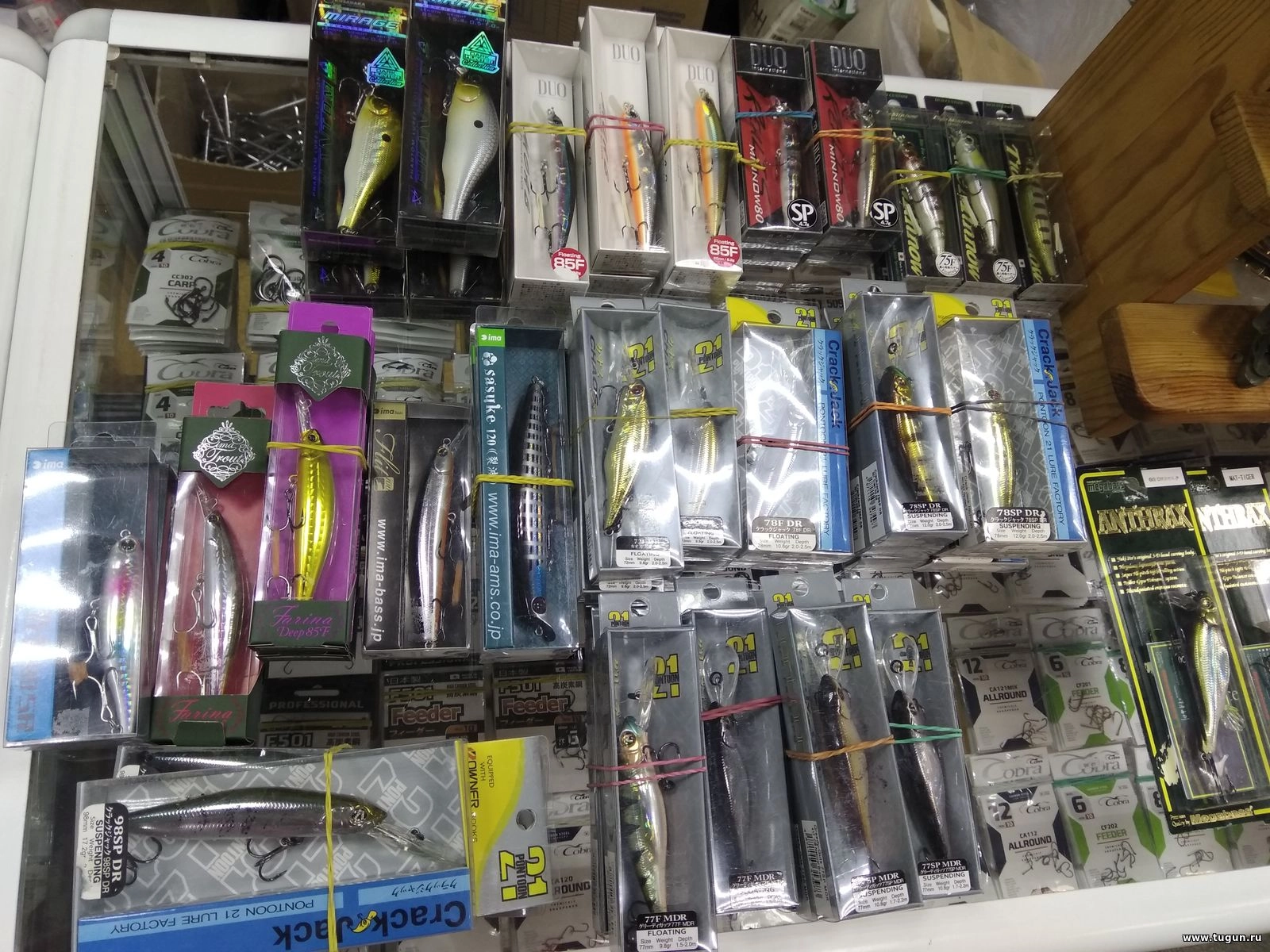 Большое фото 7