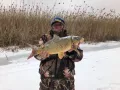 Миниатюра 4