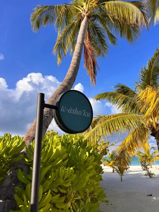 Туристическая компания Coral Travel в Архангельске: Тур, Путешествие, Турагентство, Туризм, Отпуск, Море, 