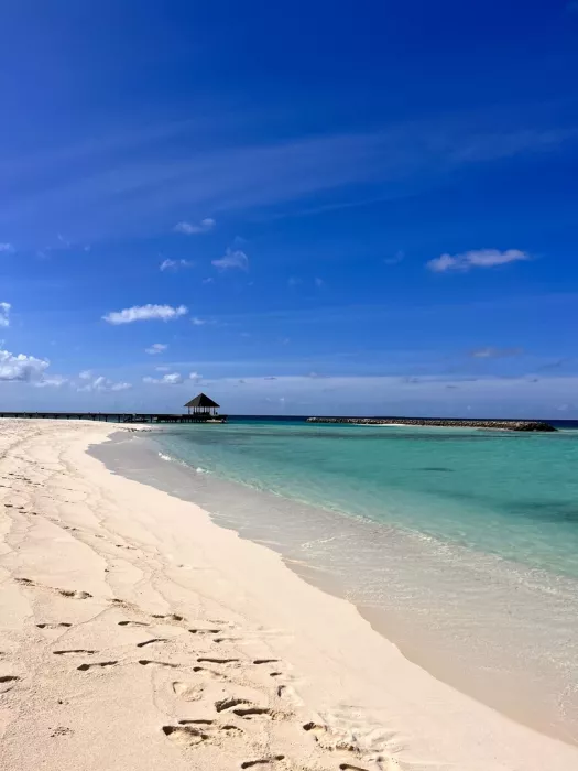 Туристическая компания Coral Travel в Архангельске: Тур, Путешествие, Турагентство, Туризм, Отпуск, Море, 