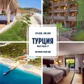 Миниатюра 7
