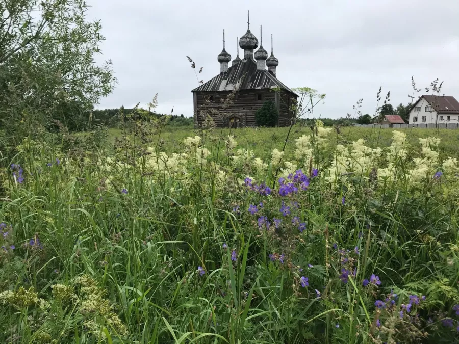 Туроператор Северная Туристическая Компания в Архангельске: Турагентство, Турфирма, Турист, Туры, Туризм, Горящие туры, Чилим, Отпуск, Путешествие, Море, Travel, Travelling, Sea, Trip, Rest,