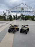 Миниатюра 5