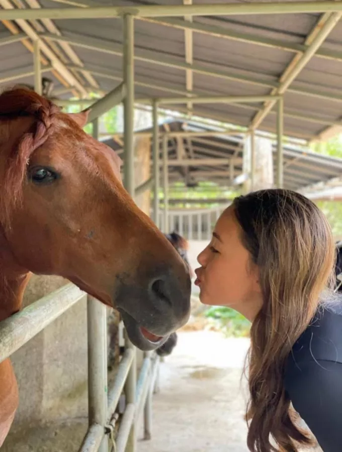 Школа Верховой Езды Moracea Horse Academy в Пхукете: Животные, Тренировка, Спортзал, Тренер,